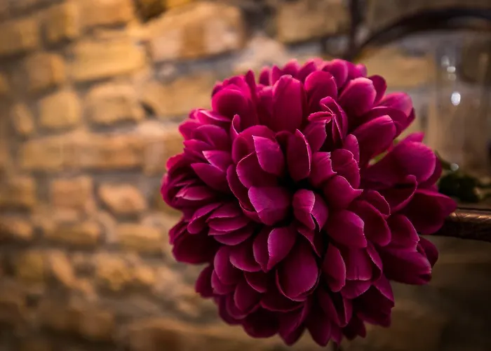 All'ombra Del Cupolone 게스트하우스